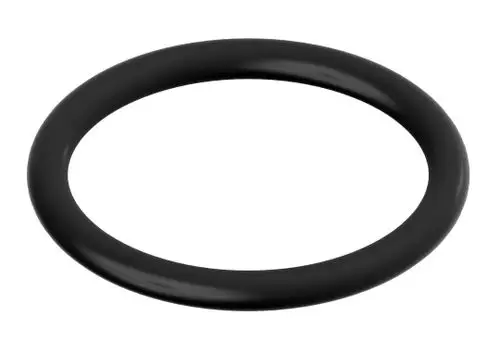 Schwarzer, runder Dichtungsring von Bosch, mit glatter Oberfläche. Das Produkt ist leicht gewölbt und hat einen durchgehenden Umfang.